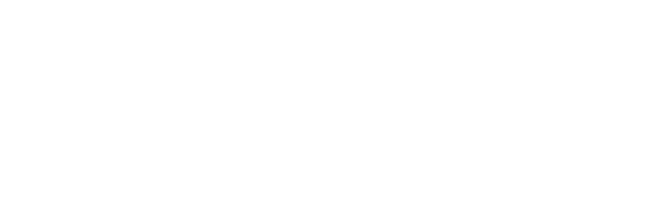 MindProbe Logo