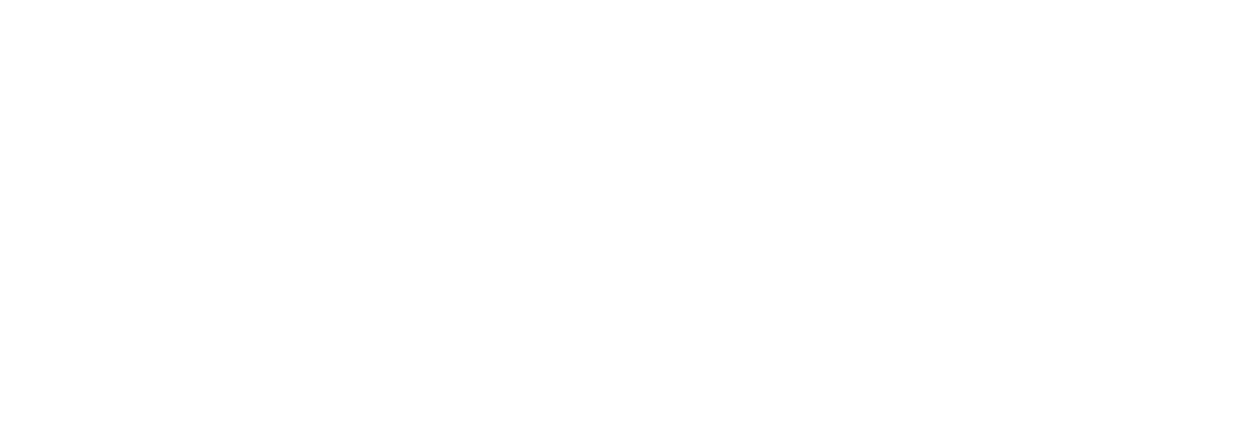 MindProbe Logo Outline